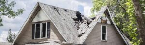 Trees, Storms and Your Home Insurance
